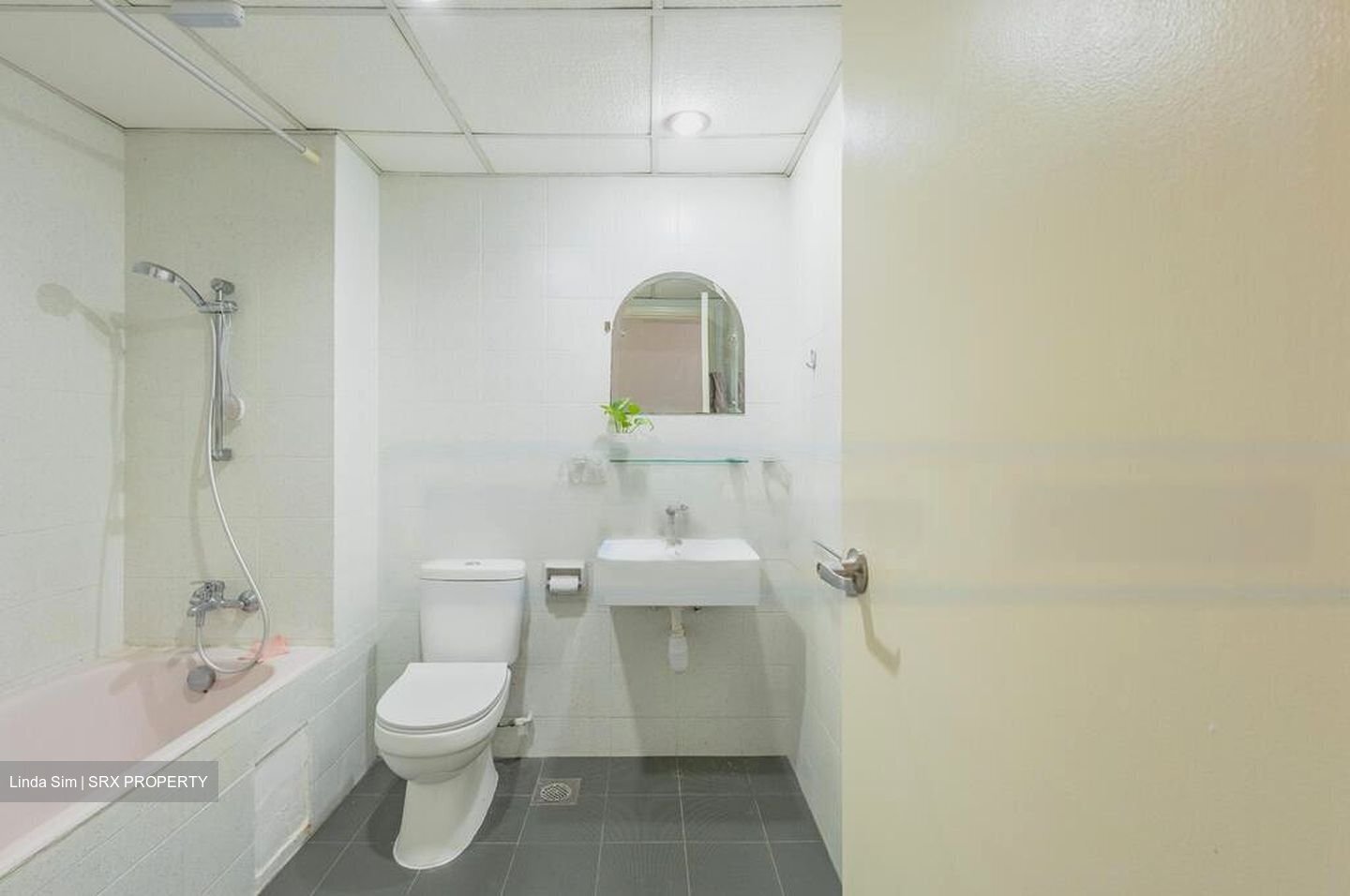 Central Green Condominium (D3), Condominium #471304691